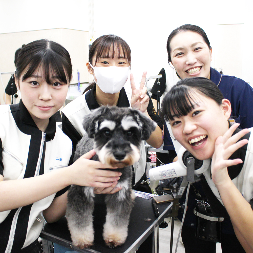 卒業犬ホップちゃん、里帰りトリミング☆